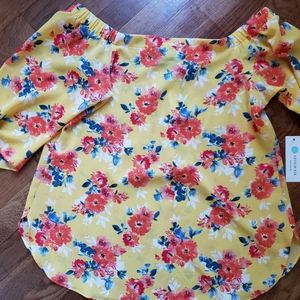 Women's Stitch Fix/ Status Grassley Blouse